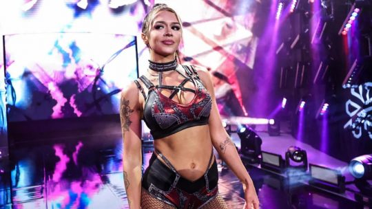 WWE: Cora Jade Torn ACL Injury Update, Shawn Michaels on Supporting Idea of CM Punk Being His Successor Overseeing NXT, Shawn Spears on Origin of "Stan" Nickname